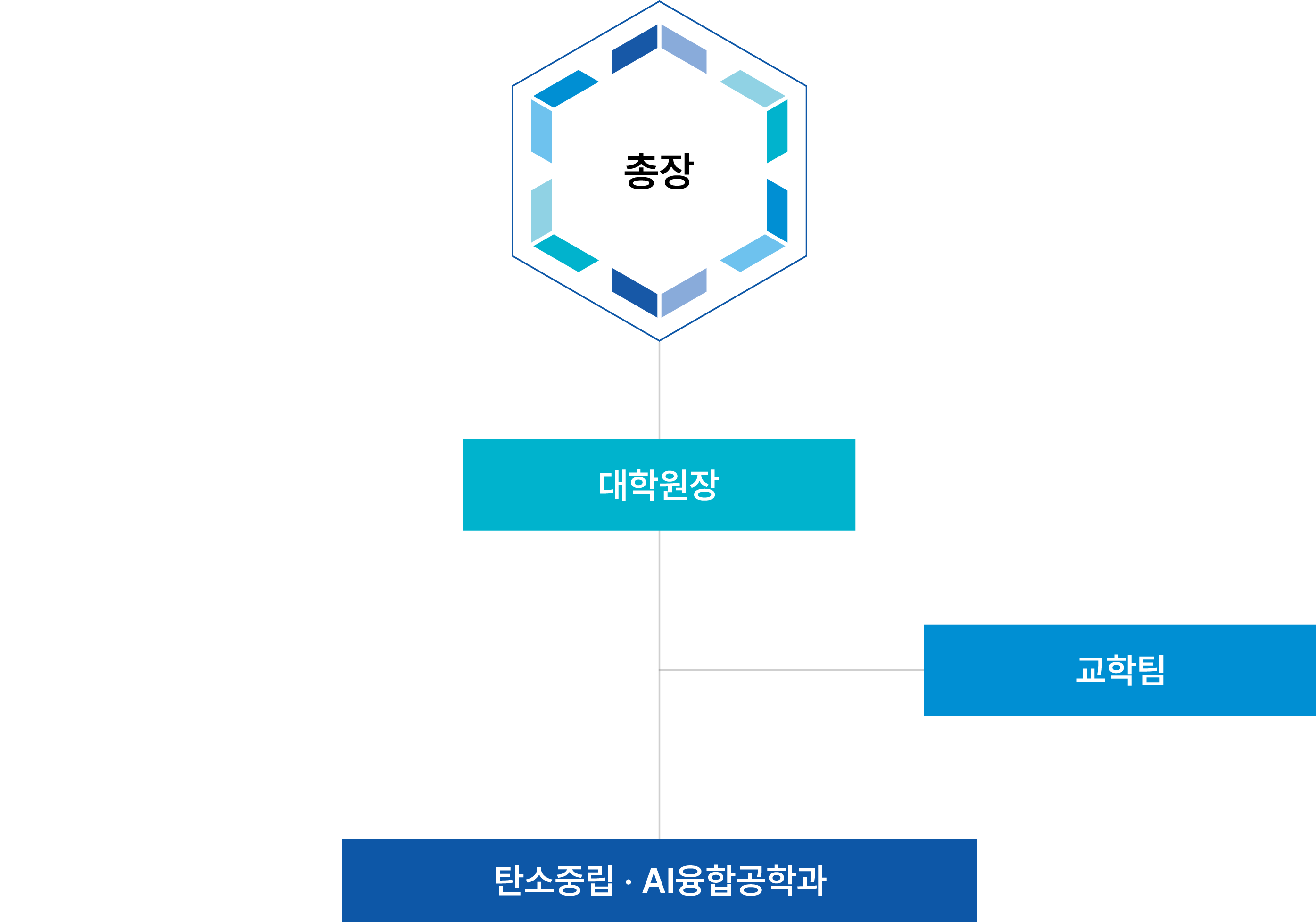조직도